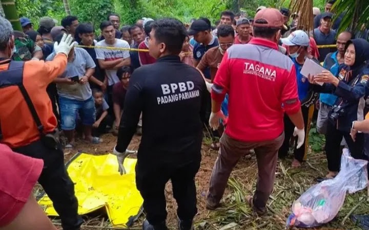 Penemuan Nia Kurnia Sari: Gadis Penjual Gorengan yang Hilang 3 Hari Ditemukan Tewas Terkubur