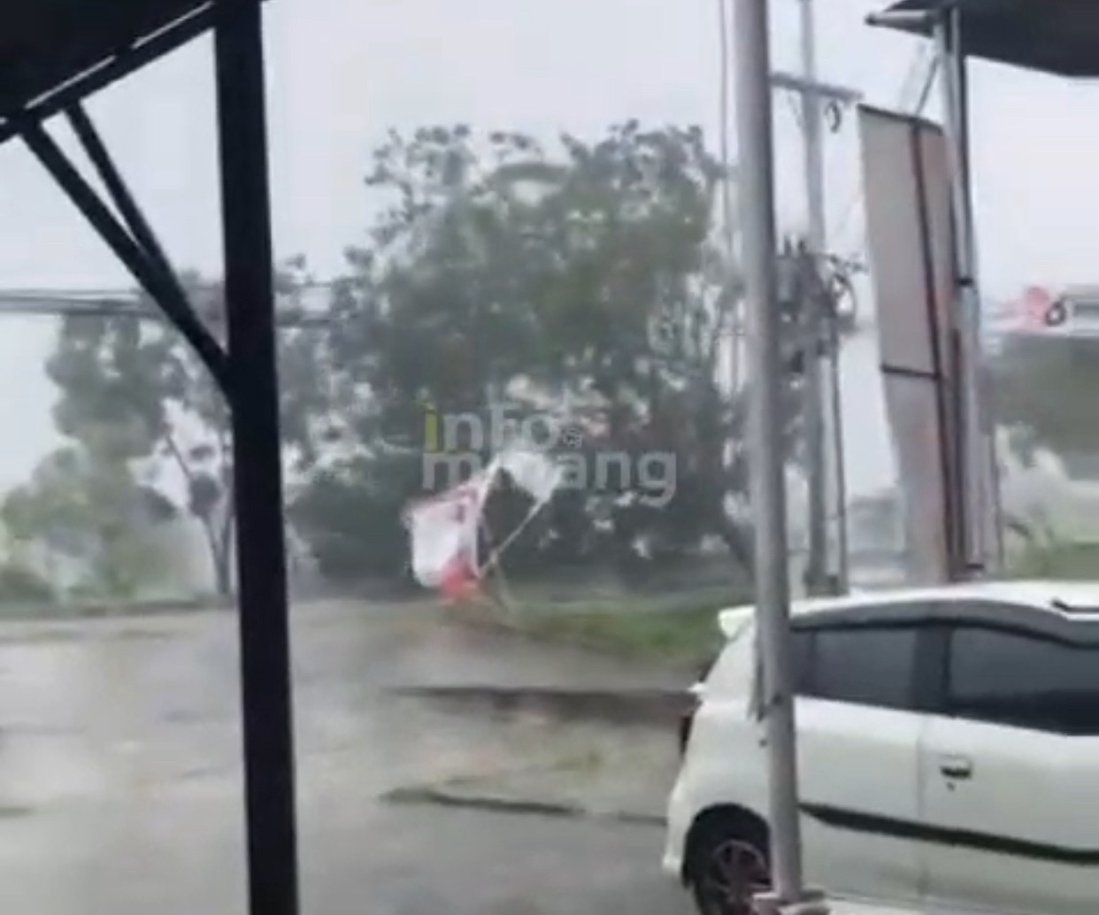 Detik-Detik Pohon Tumbang di Jalan Bypass Padang Terekam Kamera Netizen