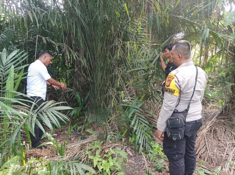 Enam Remaja Diduga Terlibat Kasus Pencabulan Siswi SMP di Siak, Tiga di Antara Pelaku Masih SD