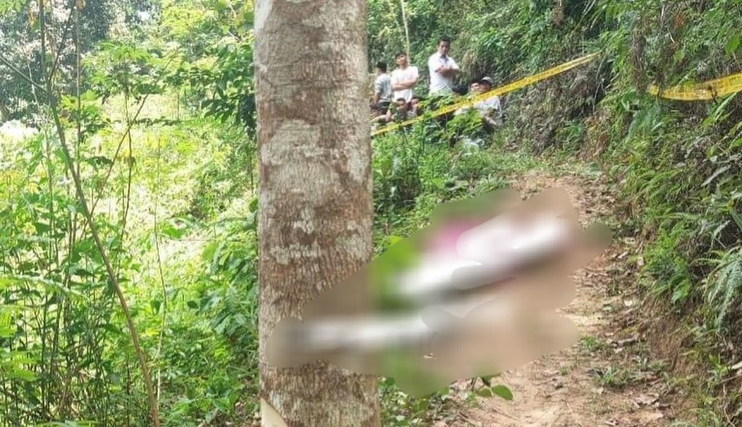 Mayat Bersimbah Darah Ditemukan di Sijunjung, Diduga Korban Pembunuhan