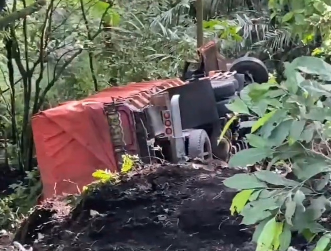 Truk Masuk Jurang Di Sitinjau Lauik, Sopir Dan Kernet Selamat