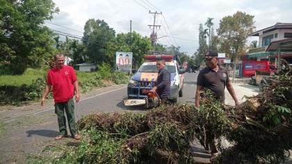 Pohon Tumbang di Depan Masjid Al Bayinnah, Timpa Pengendara Sepeda Motor<br>