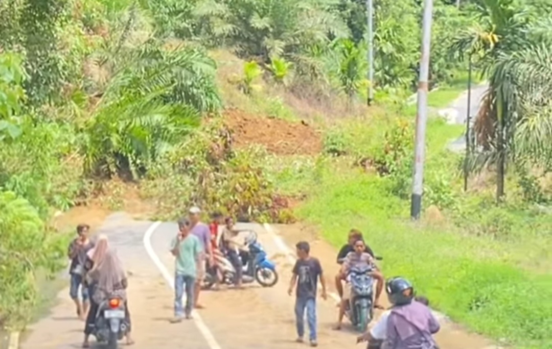 Pjs Bupati Pasaman Imbau Warga Hindari Titik Rawan Longsor dan Banjir