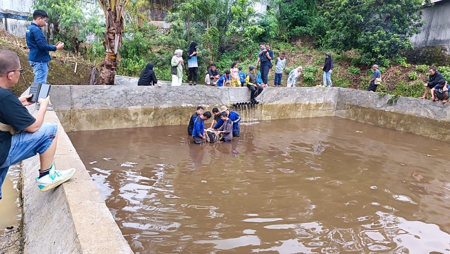Tapir Terperangkap di Kolam Dinas Kelautan Pasaman Barat, BKSDA Sumbar Lakukan Evakuasi