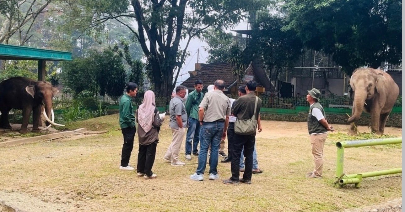 Kabar Baik untuk Zidan dan Lia, BKSDA Datangkan Mahout Berpengalaman dari Pekanbaru