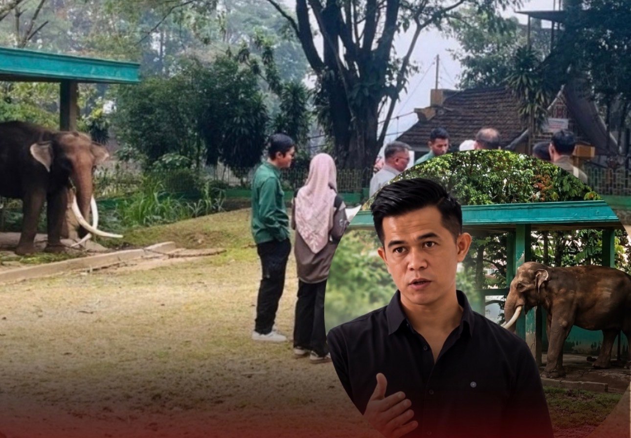 Sorotan Andi Sultan pada Zidan Berlanjut, BKSDA Datangkan Mahout dari Pekanbaru
