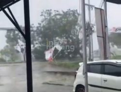 Detik-Detik Pohon Tumbang di Jalan Bypass Padang Terekam Kamera Netizen