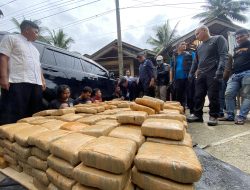 BNN Gagalkan Penyelundupan Ganja Besar-besaran dari Aceh ke Sumatera Barat