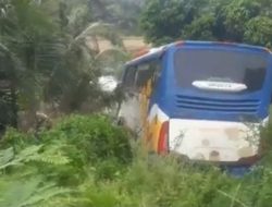 Bus AKAP “Puncak Anai” Terjun ke Kolam Warga di Jambi, Tak Ada Korban Jiwa