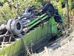 Diduga Rem Blong, Truk Muatan Semen masuk Jurang