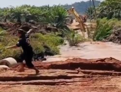 Kejadian Tanah Bergerak di Sulbar : Ekskavator Tertimbun di Desa Saloadak Mamuju Tengah